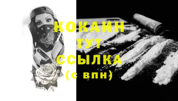 стаф Володарск