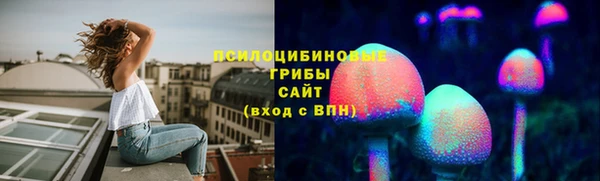 СК Верхний Тагил
