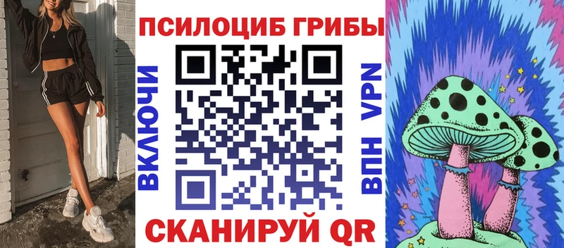 кракен зеркало  Карпинск  Галлюциногенные грибы прущие грибы 